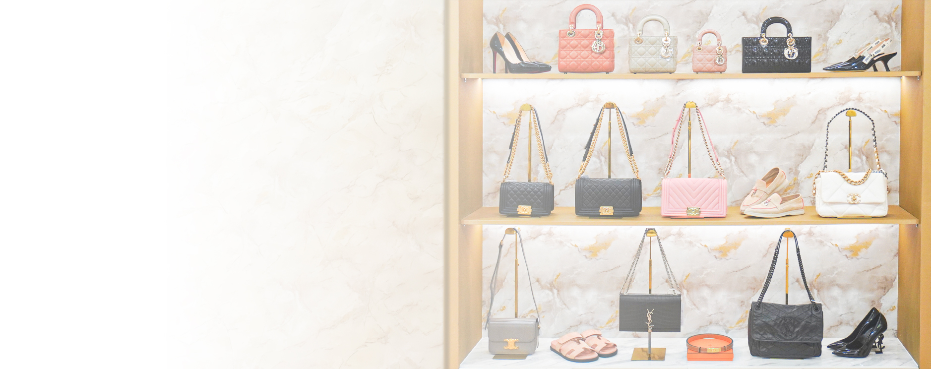 Flex Mansion Store — Ladies Collection
